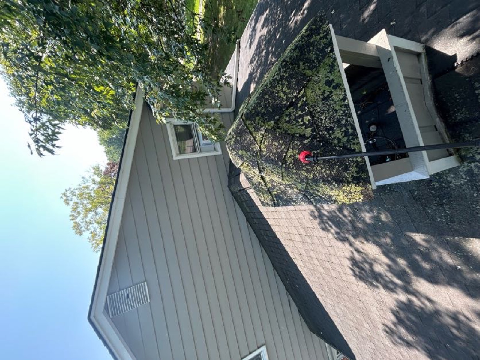 Clean concrete driveway after pressure washing in Troy, Michigan